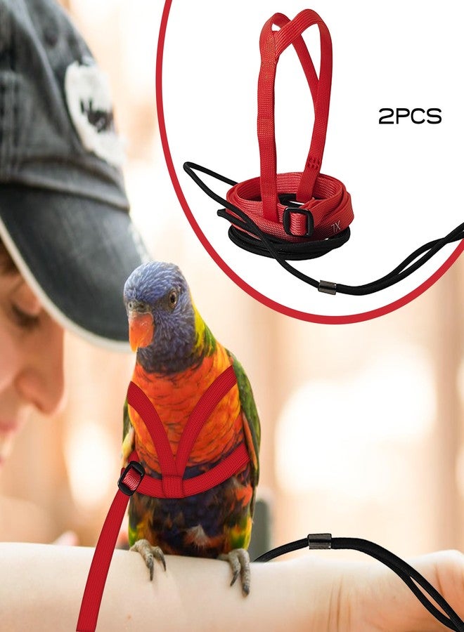 HOKABLE 2 pcs Pet Parrot Bird Harness and Leash, Adjustable Training Design Anti-Bite, Outdoor Flying Training Rope Kit for Bird Parrots Fits Birds Chest Between24-51cm /9.45-20inch - M (red - Image 2